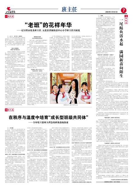 ɽ��������������